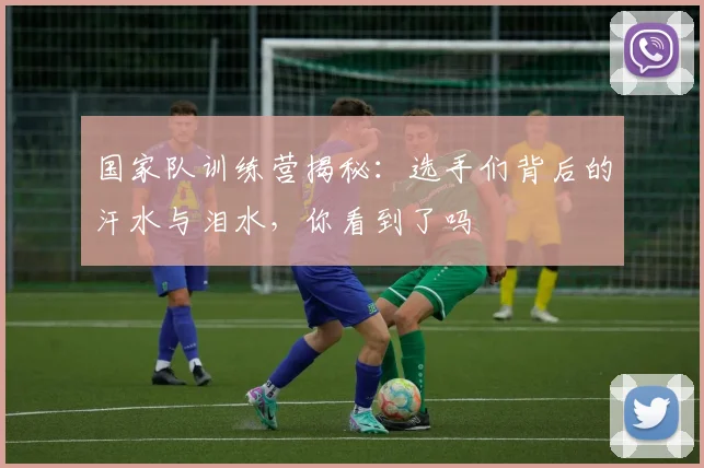 国家队训练营揭秘:选手们背后的汗水与泪水,你看到了吗