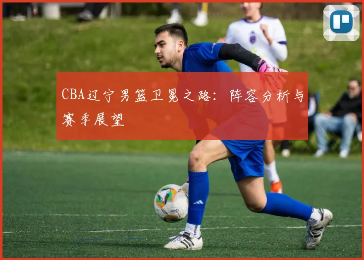CBA辽宁男篮卫冕之路：阵容分析与赛季展望