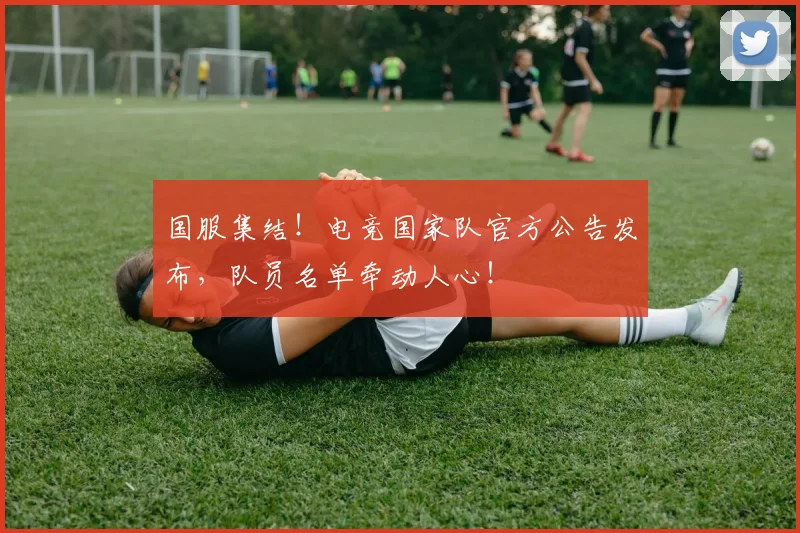 国服集结!电竞国家队官方公告发布,队员名单牵动人心!