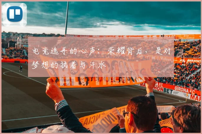电竞选手的心声：荣耀背后，是对梦想的执着与汗水