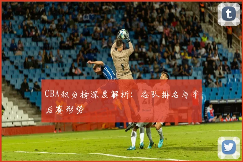 CBA积分榜深度解析:各队排名与季后赛形势
