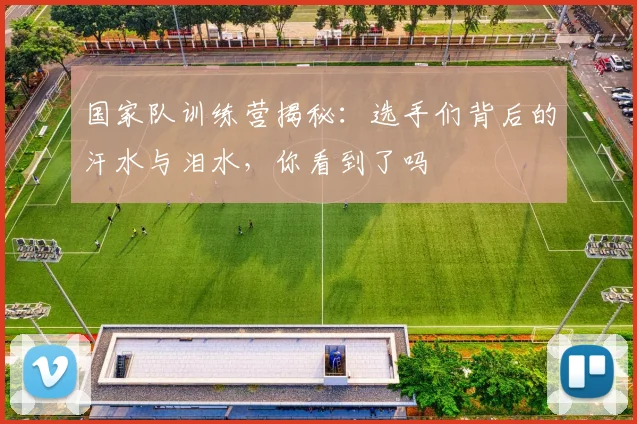 国家队训练营揭秘:选手们背后的汗水与泪水,你看到了吗