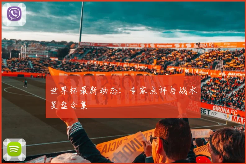 世界杯最新动态:专家点评与战术复盘合集